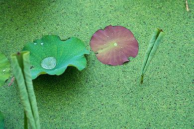 《第三次世界大战》将开启回归A测 仅限老玩家参与
